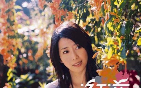 孟庭苇歌曲:红花歌词