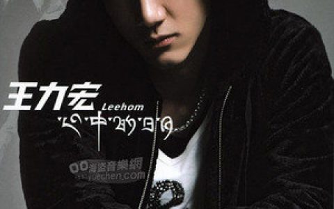 王力宏歌曲:放开你的心歌词