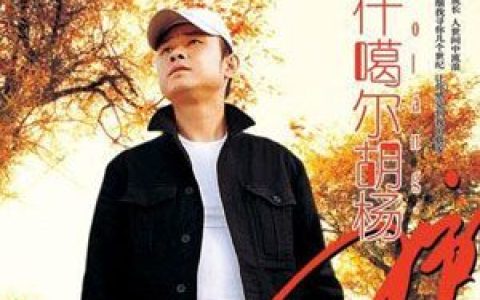 刀郎歌曲:再见乌鲁木齐歌词