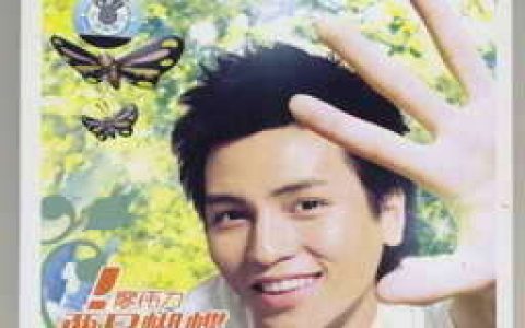 廖伟力歌曲:如果下辈子我还记得你歌词