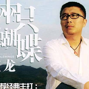 庞龙歌曲:遇见你歌词