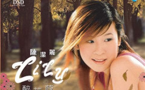 陈洁丽歌曲:天外天上天无涯歌词