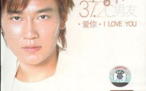 阿木歌曲:走过1995歌词
