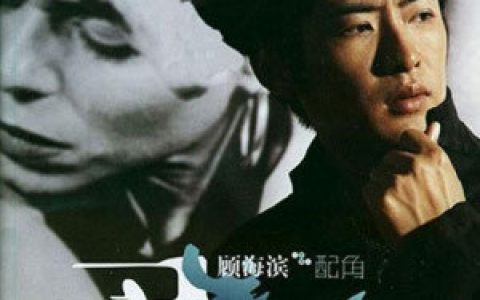 顾海滨歌曲:你这样的女孩歌词