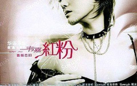 韦嘉歌曲:风轻轻吹歌词
