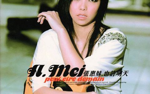 张惠妹歌曲:那鲁湾情歌歌词