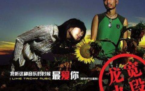 龙宽九段歌曲:很多鱼歌词
