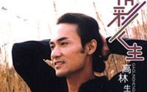 高林生歌曲:烘培鸡大战伊妹儿歌词
