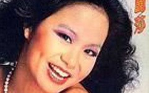 杜丽莎歌曲:We May Never Love Like This Again歌词