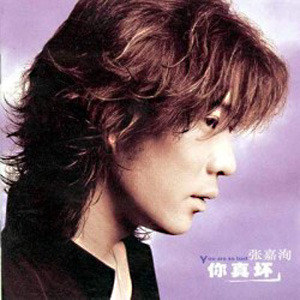 张嘉洵歌曲:想做你的男朋友歌词