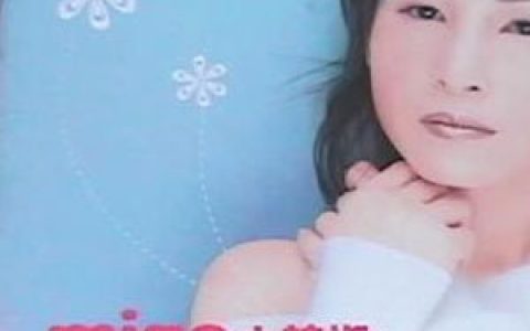 小辣椒歌曲:摆地摊歌词