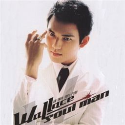 钟汉良歌曲:不太温柔歌词