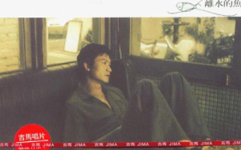 秦杨歌曲:少年青春歌词