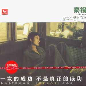 秦杨歌曲:少年青春歌词