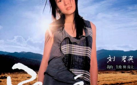 刘若英歌曲:分开旅行歌词