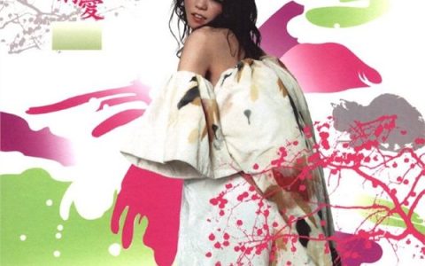 王菲歌曲:美错歌词