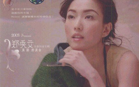 郑秀文歌曲:温暖的泪歌词