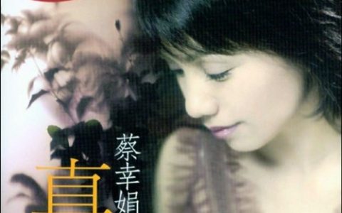 蔡幸娟歌曲:只要为你活一天歌词