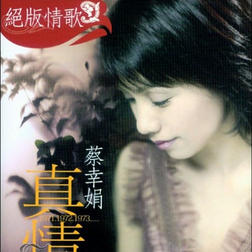 蔡幸娟歌曲:只要为你活一天歌词