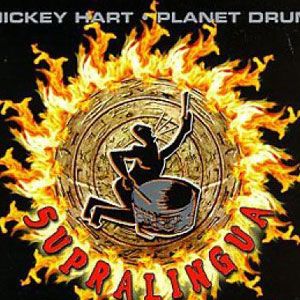 Mickey Hart歌曲:the hunt歌词