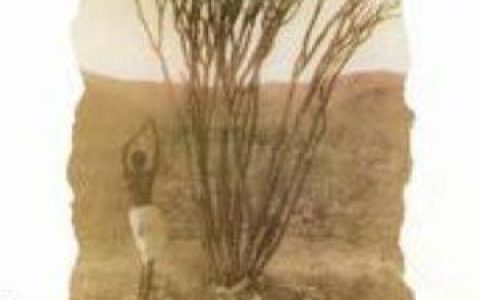 Kevin Eubanks歌曲:landing歌词