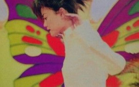 王菲歌曲:一半歌词