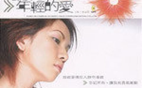 沈芳如歌曲:年轻的爱歌词