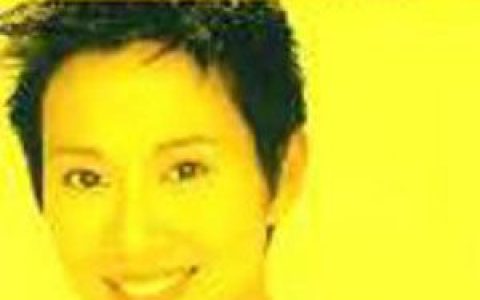 陈松伶歌曲:爱你不是浑闲事 (粤)歌词