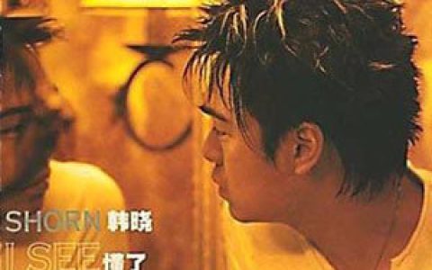 韩晓歌曲:懂了歌词