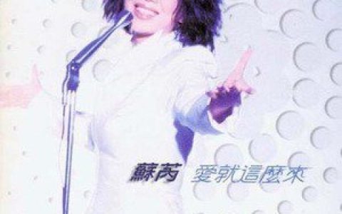 苏芮歌曲:就爱到这里歌词