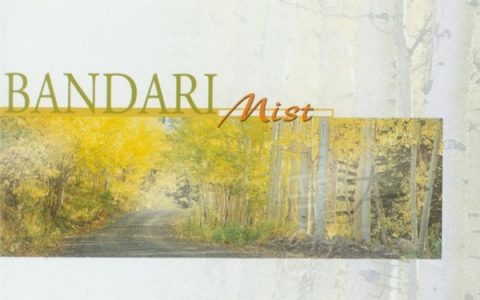 Bandari歌曲:Mother Nature歌词