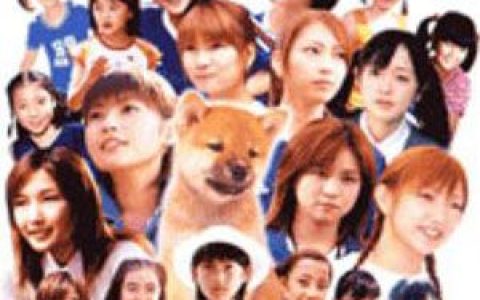 早安少女组歌曲:がんばっちゃえ!(Symphonic Version)歌词