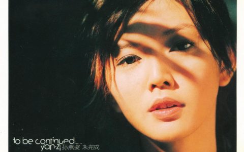 孙燕姿歌曲:了解歌词