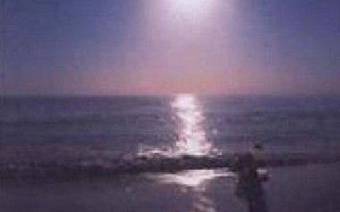 Globe歌曲:Can t Stop Fallin  in Love歌词