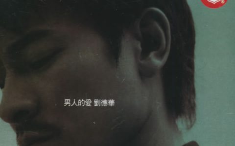 刘德华歌曲:总会有一天歌词