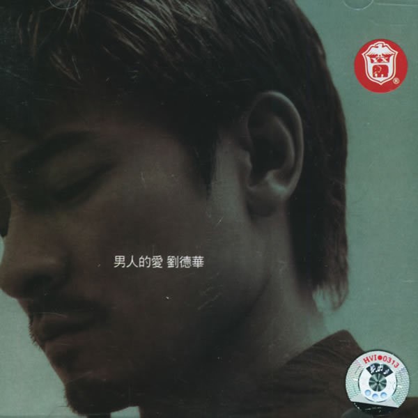 刘德华歌曲:总会有一天歌词