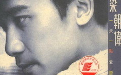 梁朝伟歌曲:为情所困歌词