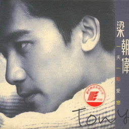 梁朝伟歌曲:最珍惜仍然是你歌词