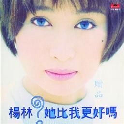 杨林歌曲:不恋你歌词