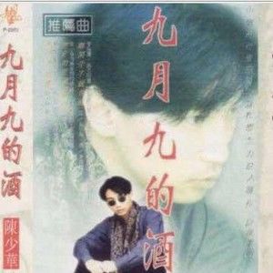 陈少华歌曲:想你的夜晚没有你歌词