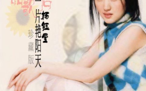 杨钰莹歌曲:晚霞中的红蜻蜓歌词