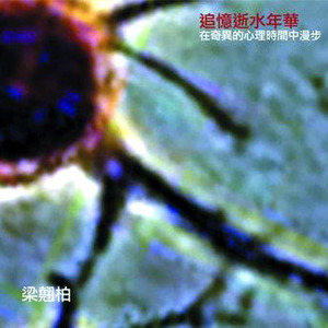 梁翘柏歌曲:落花流水歌词