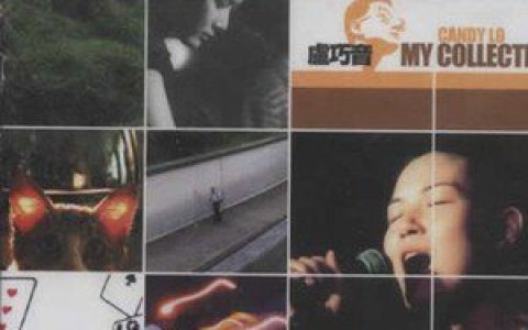 卢巧音歌曲:Life In Disguise歌词