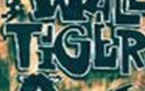壁虎歌曲:呜呜呜歌词