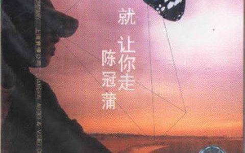 陈冠蒲歌曲:太孤单歌词