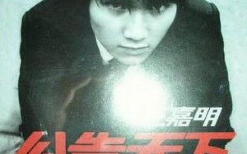 王嘉明歌曲:你走了歌词