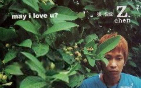 张智成歌曲:没有你歌词