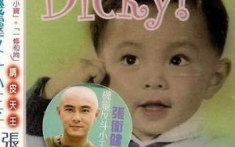 张卫健歌曲:飘零燕歌词