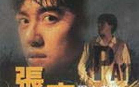 张宇歌曲:爱上了你爱上了瘾歌词