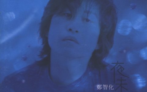 郑智化歌曲:SAY GOODBYE歌词
